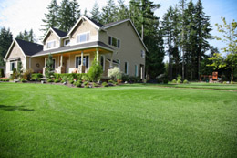 Sunburst Environmental Services - Lawn Maintenance