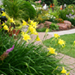 Sunburst Enivronmental Services - Landscape Services