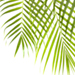 Sunburst Enivronmental Services - Tropical Plant Maintenance