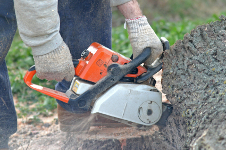 Sunburst Environmental Services - Tree Removal